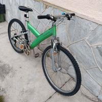 Bicicletta  MTB