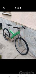 Bicicletta  MTB