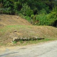 Terreno edificabile a Castello Cabiaglio