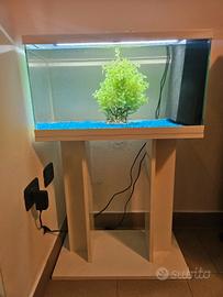 acquario 100 Litri 
