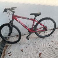 Bici MTB Wilier ruote 26”