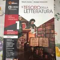 Il tesoro della letteratura