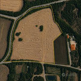 Terreno agricolo pianeggiante