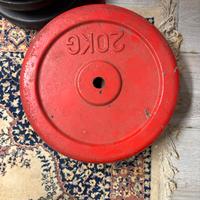 Dischi 20kg in ghisa
