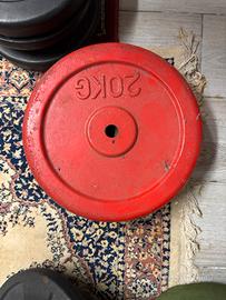 Dischi 20kg in ghisa