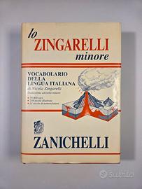 Vocabolario lo Zingarelli minore Zanichelli 1994