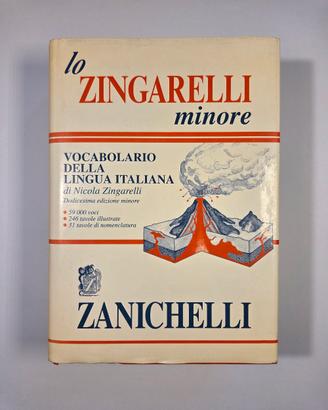 Vocabolario lo Zingarelli minore Zanichelli 1994