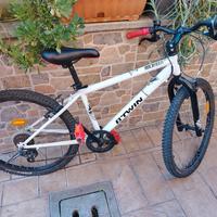 mtb 24 
