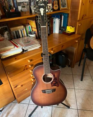 D’Angelico 12 string