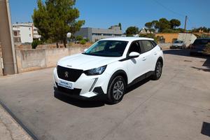 Peugeot 2008 1500 BlueHDi 110 S&S DIESEL