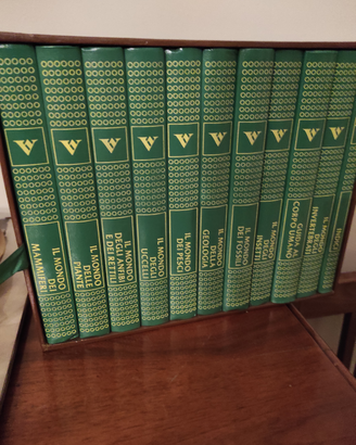 Il Cuciniere Italiano - Vincenzo Buonassisi