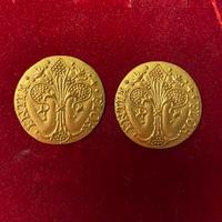 Moneta oro Fiornino