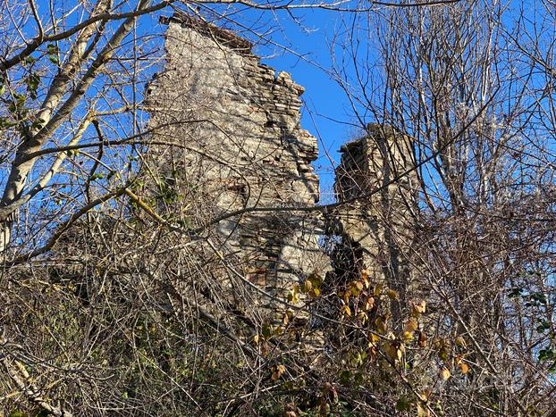 Azienda agricola di 31 Ha con rudere