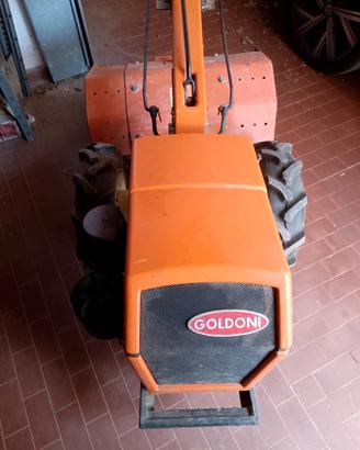 motocoltivatore Goldoni fresa +aratro 