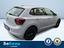 Immagine 8