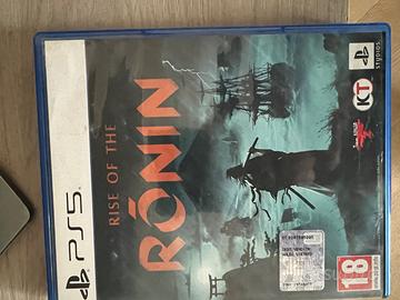 Rise of the ronin