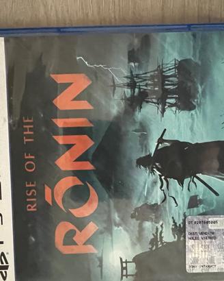 Rise of the ronin