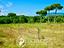Immagine 16