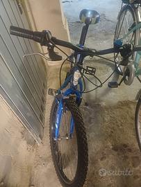 Bicicletta ragazzo