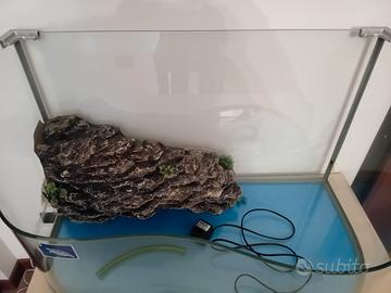 tartarughiera in vetro
