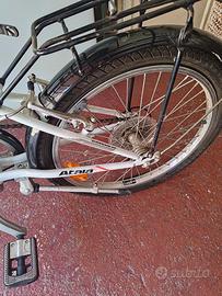 bicicletta pieghevole 