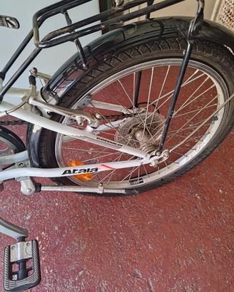bicicletta pieghevole 
