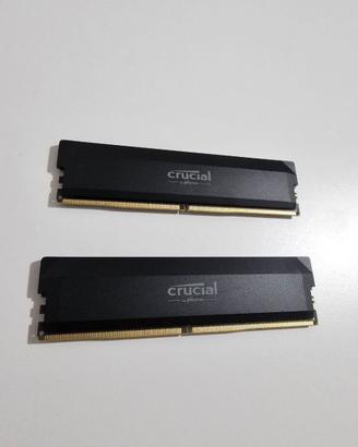 Crucial Pro RAM 32gb CL36 2x16gb AMD + Intel