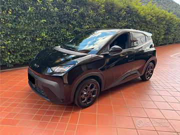 BYD ELETTRICA