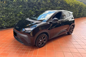 BYD ELETTRICA