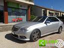 mercedes-benz-e-250-cdi-s-w-blueefficiency-exec