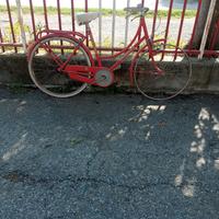 bici olandesina ruote del raggio26,. /