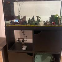 Acquario completo