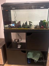 Acquario completo