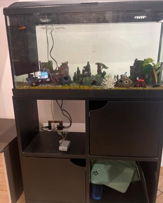Acquario completo