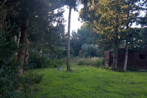 Terreno a san vincenzo