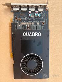 Scheda video Nvidia Quadro P2000
