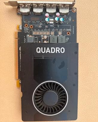 Scheda video Nvidia Quadro P2000