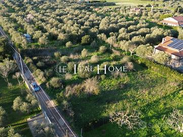 Terreno Agricolo - Alghero