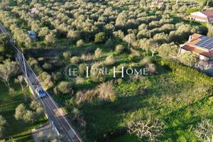 Terreno Agricolo - Alghero