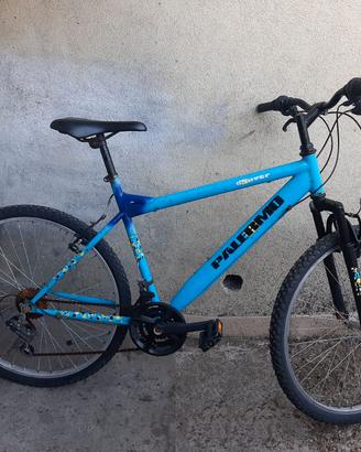 bici mountain bike