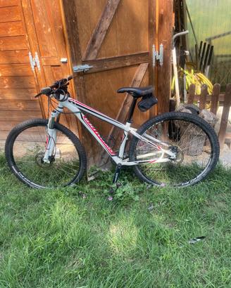 Specialized Hardrock Sport 29” – Taglia S 15,5” – 