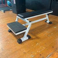 Panca piana Technogym spotter 