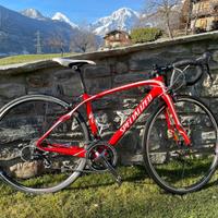 Bici Specialized Roubaix in carbonio