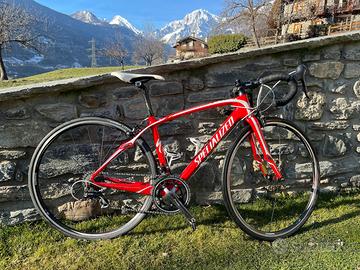 Bici Specialized Roubaix in carbonio