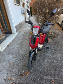 Scooter Elettrico - 250W