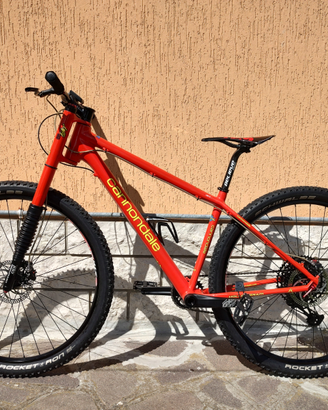 CANNONDALE Lefty 29 Carbon THROWBACK Eagle 12V