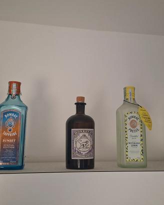 Bottiglie Gin vuote