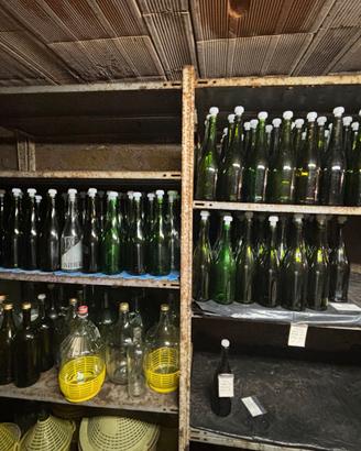 350 bottiglie spumante da 3/4