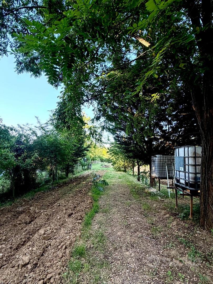 Terreno 4400 Mq con pozzo -Poggibonsi calcinaia - Vista 4