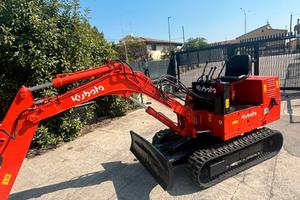 E198 ESCAVATORE KUBOTA 20 q.li